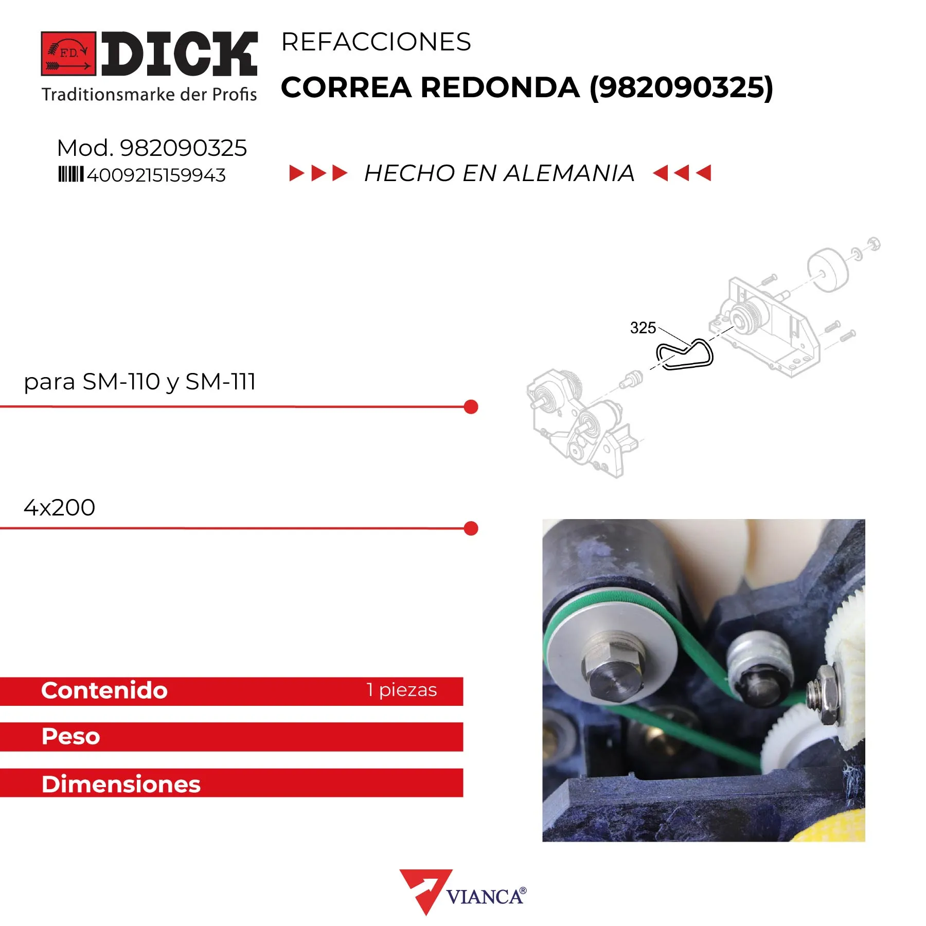 Correa redonda